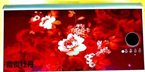 攜手順太樂，共贏綠色未來 誠征節(jié)能健康環(huán)保電熱兩用熱水器代理經(jīng)銷商